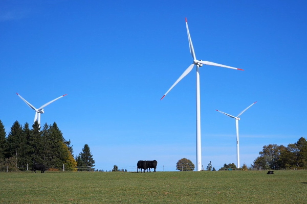 Green transformation: how Enel and Iberdrola felt the wind of change in the energy market