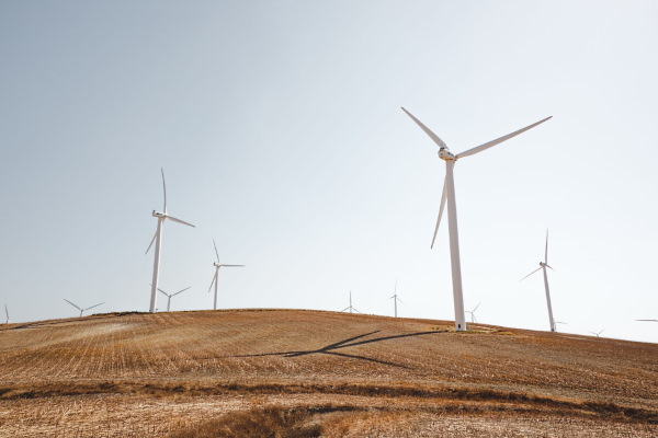 General contractor in Egypt: financing and construction of wind farms, engineering and management
