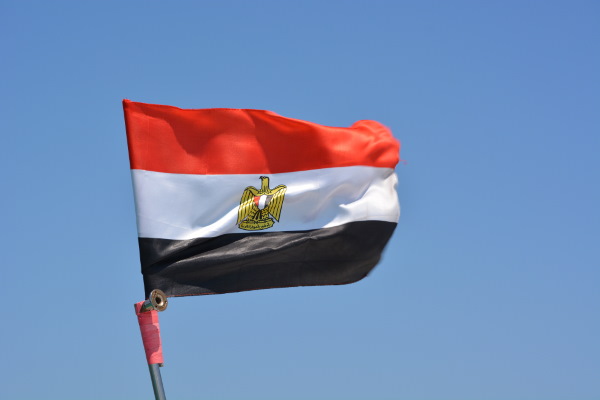 EPC contractor in Egypt: construction of solar power plants, engineering services and project management