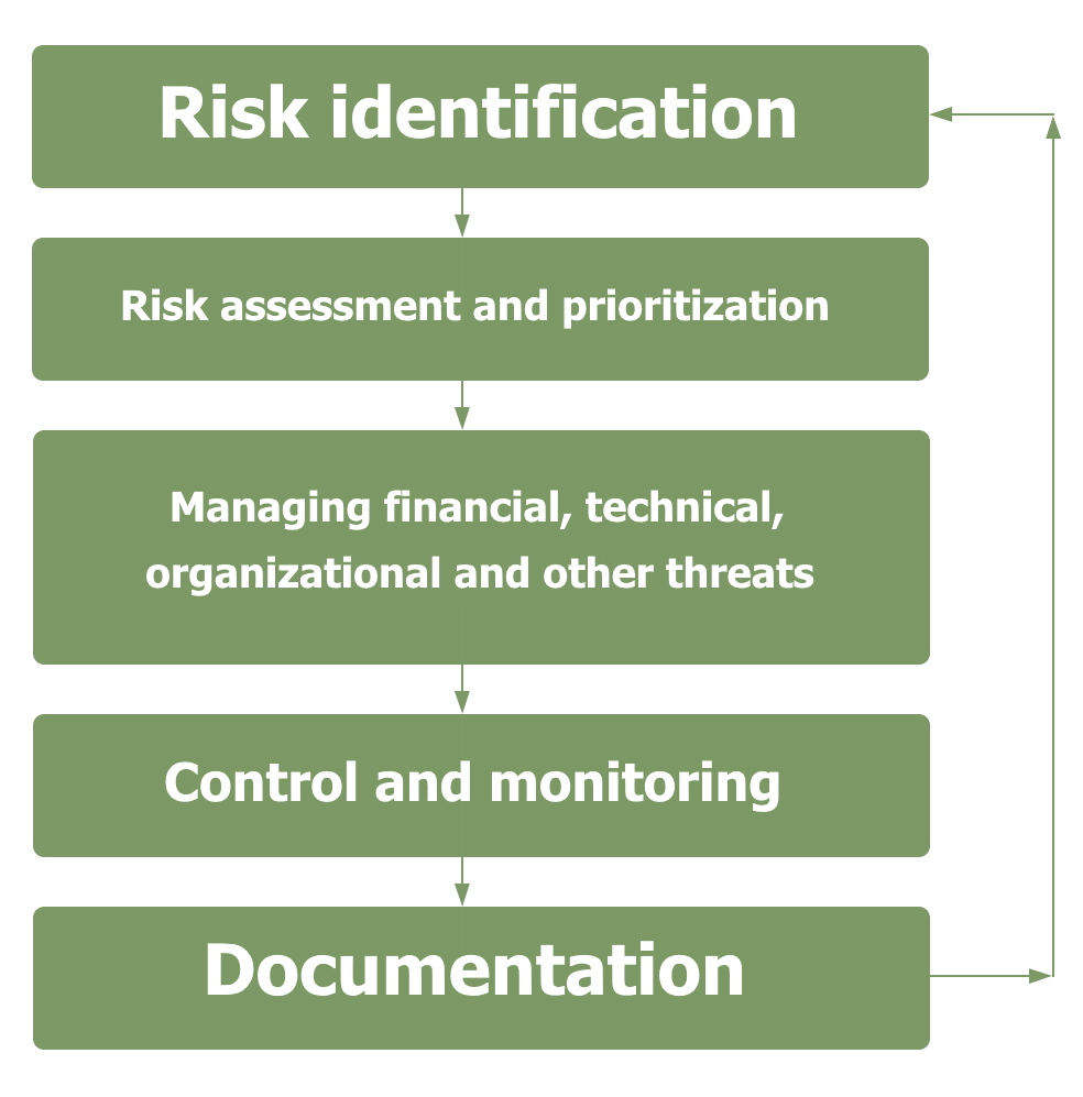 Risk management process in a large investment project