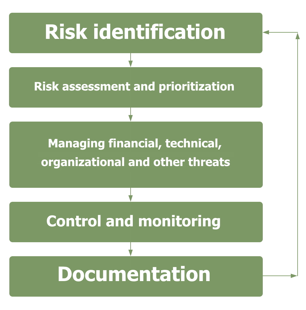 financial risk management process